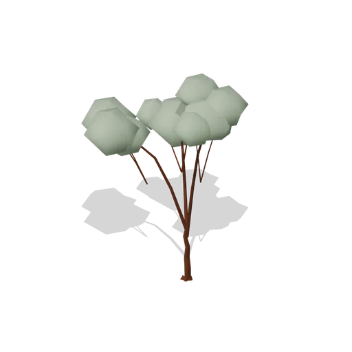 Sycamore Maple Young (Dense Temperate Forest Flora)
