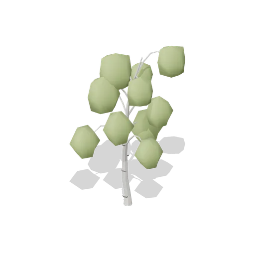 Silver Birch Wind Shaped (Dense Temperate Forest Flora)