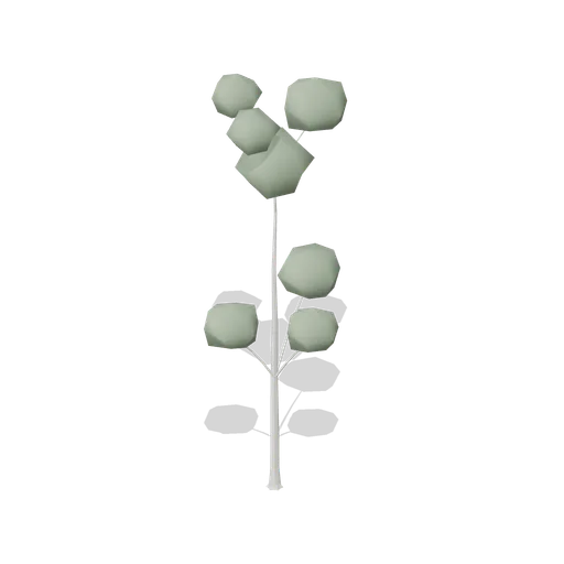 Ash Tree Young (Dense Temperate Forest Flora)
