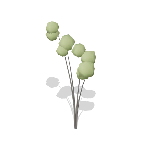 Rowan Tree Young (Dense Temperate Forest Flora)