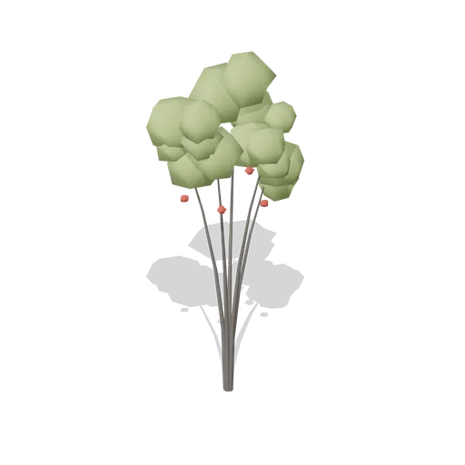 Rowan Tree Mature (Dense Temperate Forest Flora)