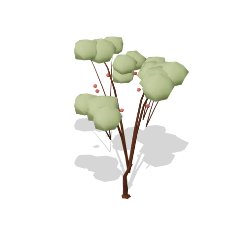 Rowan Tree Old (Dense Temperate Forest Flora)