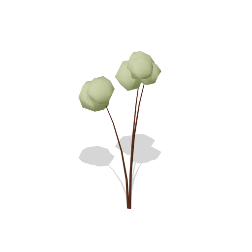 Hazel Young (Dense Temperate Forest Flora)