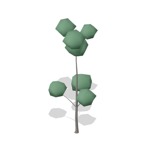 Alder Young (Dense Temperate Forest Flora)