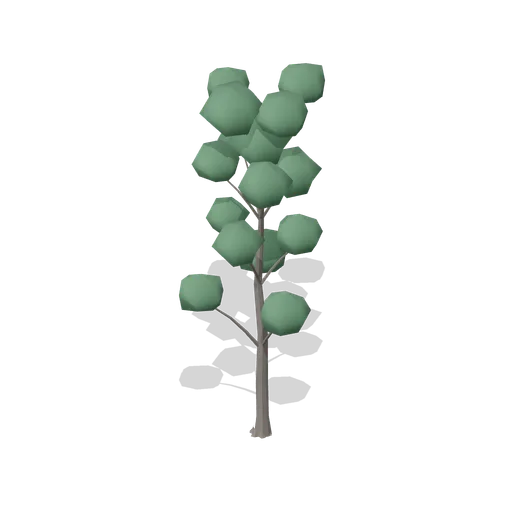Alder Mature (Dense Temperate Forest Flora)