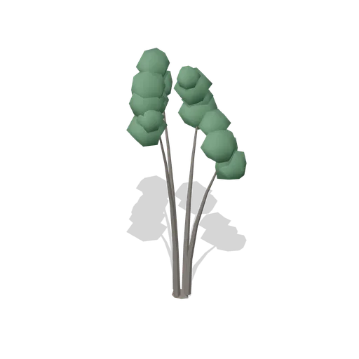 Alder Old (Dense Temperate Forest Flora)
