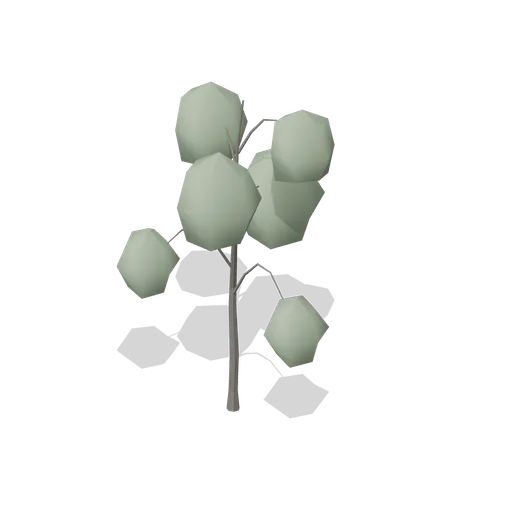 Willow Young (Dense Temperate Forest Flora)