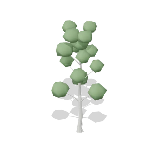 Hornbeam Mature (Dense Temperate Forest Flora)