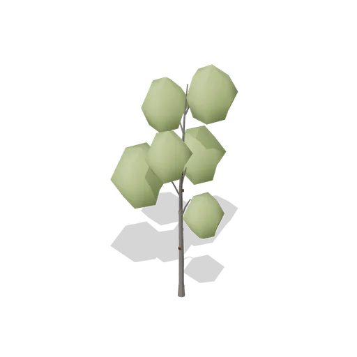 Wild Cherry Young (Dense Temperate Forest Flora)