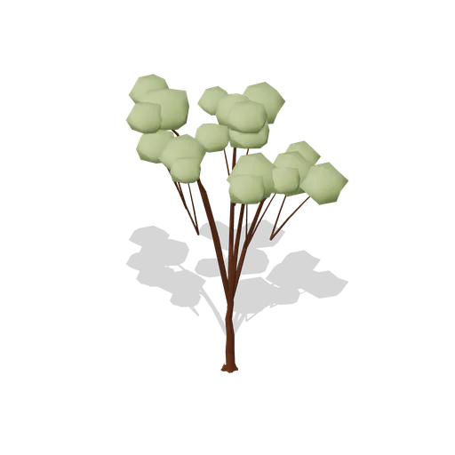 Wild Cherry Mature (Dense Temperate Forest Flora)