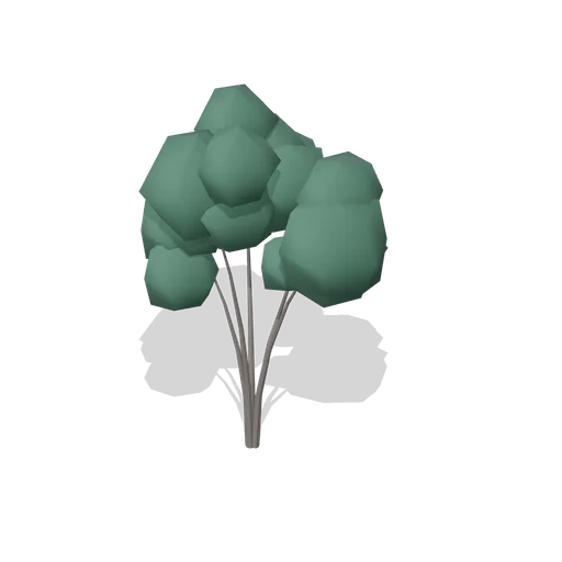 Yew Tree Young (Dense Temperate Forest Flora)