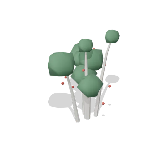 Holly Bush (Dense Temperate Forest Flora)