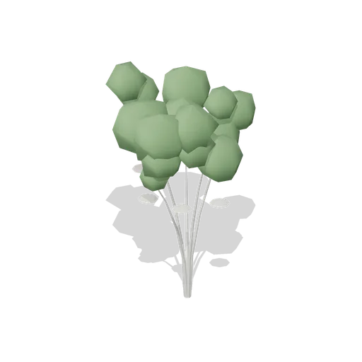 Elder Bush (Dense Temperate Forest Flora)