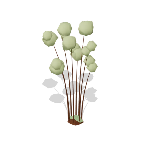 Hazel Coppice Stool (Dense Temperate Forest Flora)