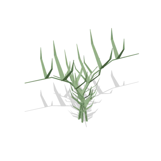 Bracken Single (Dense Temperate Forest Flora)