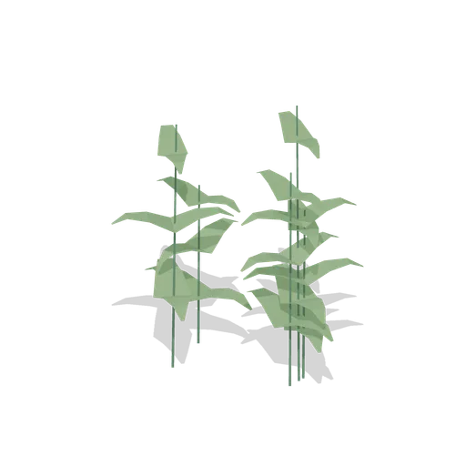 Nettle Clump (Dense Temperate Forest Flora)
