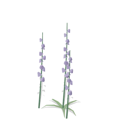 Foxglove Clump (Dense Temperate Forest Flora)