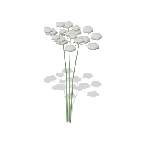 Cow Parsley Clump (Dense Temperate Forest Flora)