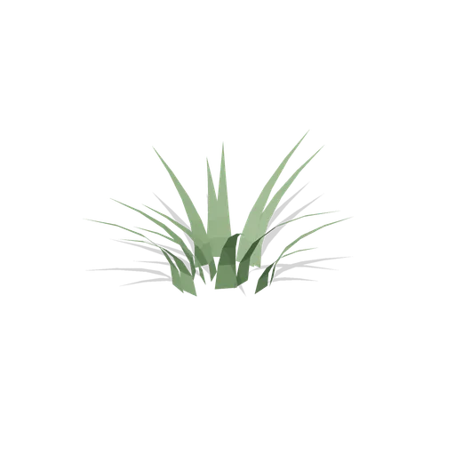 Woodrush Clump (Dense Temperate Forest Flora)