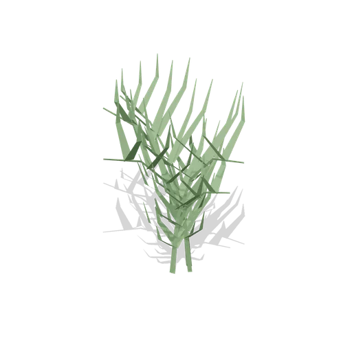 Royal Fern (Dense Temperate Forest Flora)
