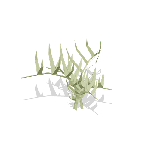 Lady Fern (Dense Temperate Forest Flora)