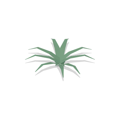 Harts Tongue Fern (Dense Temperate Forest Flora)