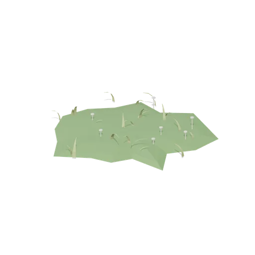 Wood Sorrel Patch (Dense Temperate Forest Flora)