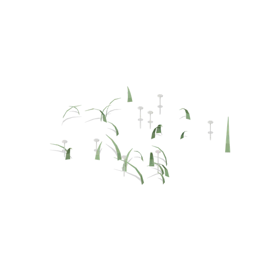 Clover Patch (Dense Temperate Forest Flora)