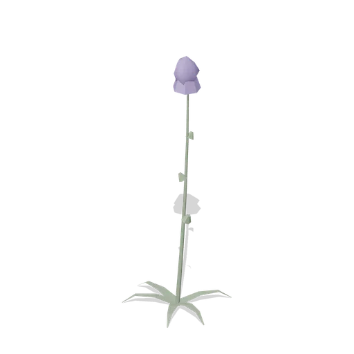 Thistle (Dense Temperate Forest Flora)