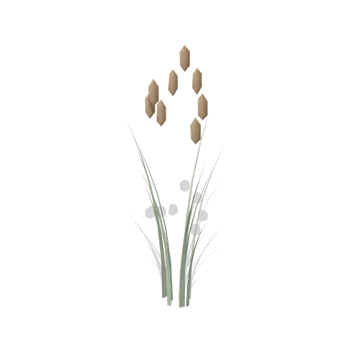 Reed Clump (Dense Temperate Forest Flora)