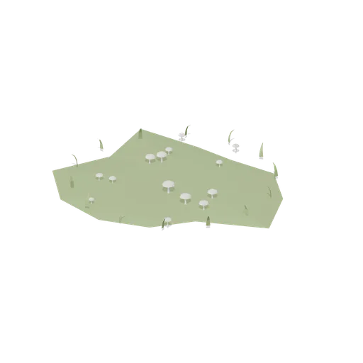 Fairy Ring (Dense Temperate Forest Flora)