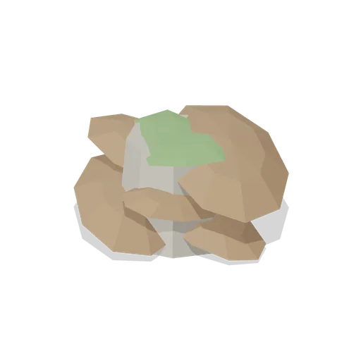 Stump With Fungi (Dense Temperate Forest Flora)