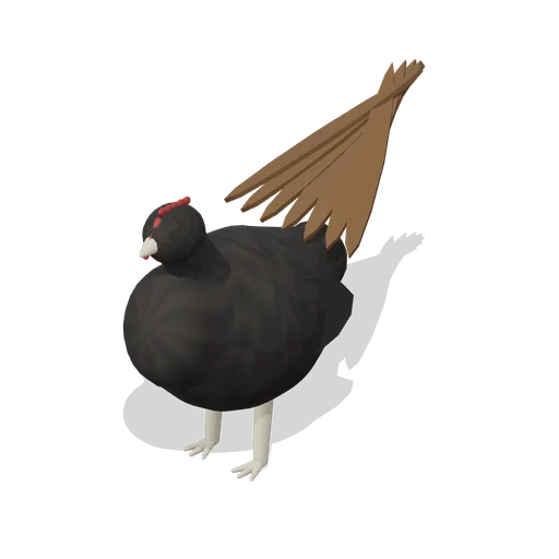 Turkey (Farm and Working Animals HD)