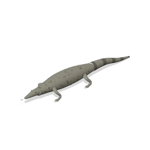 Komodo dragon (Realistic Wild Animals HD)