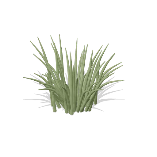 Green grass clump (Realistic Wild Animals HD)