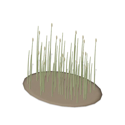 Reed bed (Realistic Wild Animals HD)