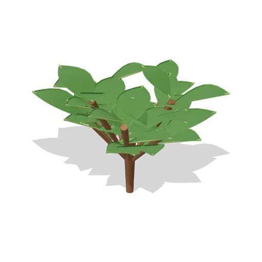 Young Tea Shrub (Tea Garden and Processing House)