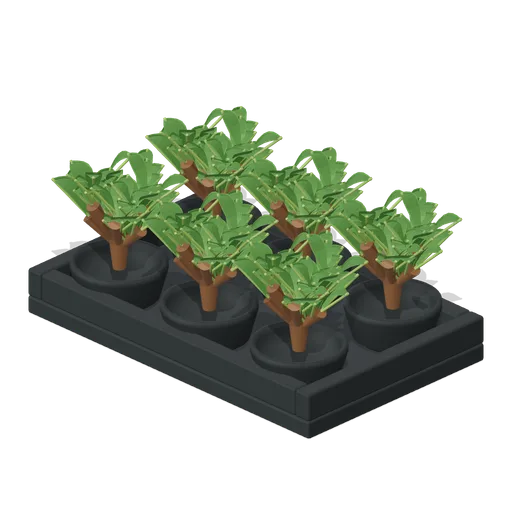 Nursery Cutting Tray (Tea Garden and Processing House)