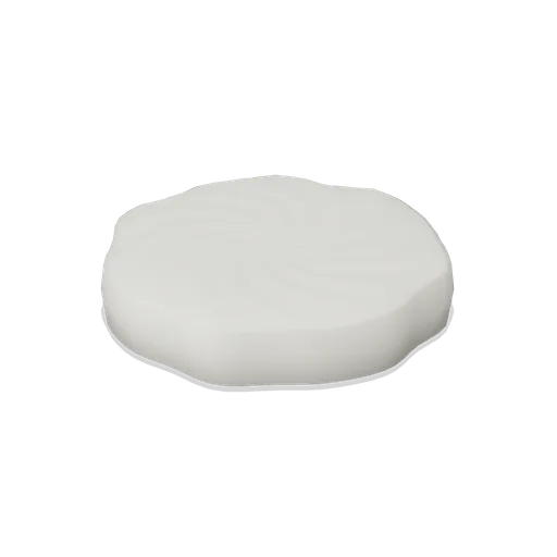 Bloomy Rind Cheese Round (Cheesemaking and Dairy Cellar)