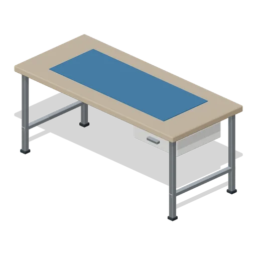 Equipment Inspection Desk (Fencing Club and Tournament Piste)