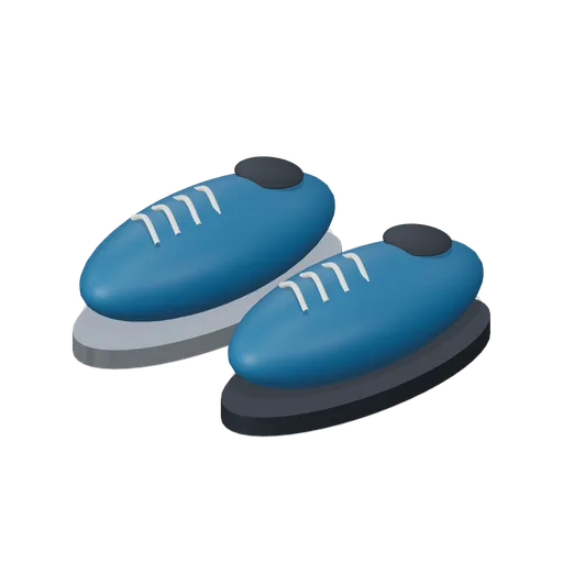 Slider Shoe Pair (Curling Club and Ice Maintenance)