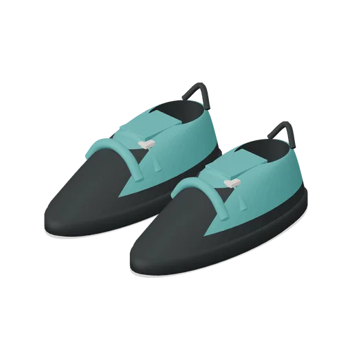 Climbing Shoe Pair (Indoor Climbing and Bouldering Gym)