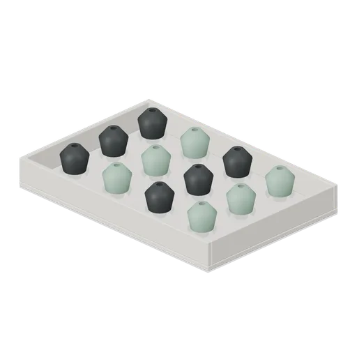 Probe Tip Organizer (Hearing Aid and Audiology Clinic)