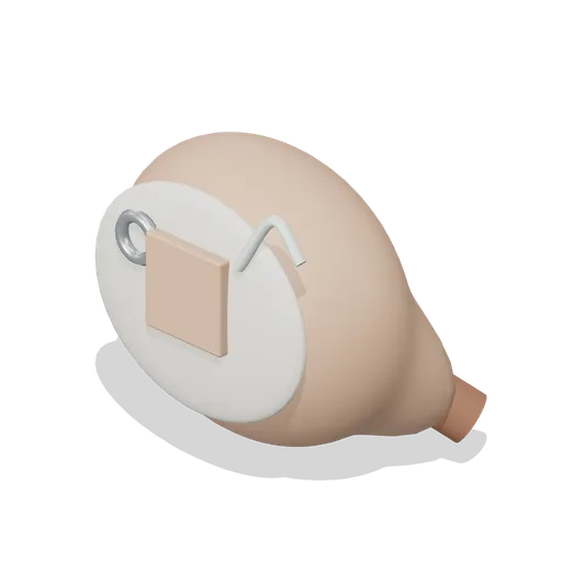 Custom In Ear Shell (Hearing Aid and Audiology Clinic)