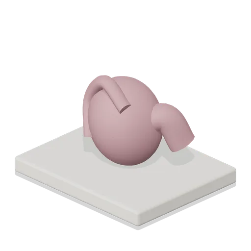 Earmould Impression Display (Hearing Aid and Audiology Clinic)