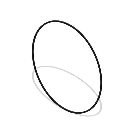 Door Sealing Ring (Spacecraft Thermal Test Chamber)