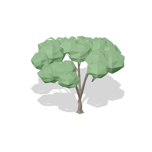 Mature English oak (Temperate Forest Ecology)