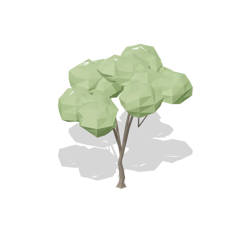 Young English oak (Temperate Forest Ecology)