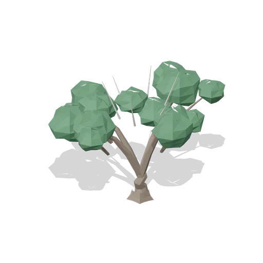 Veteran stag-headed oak (Temperate Forest Ecology)