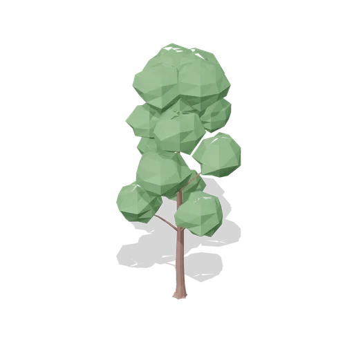 Mature wild cherry (Temperate Forest Ecology)